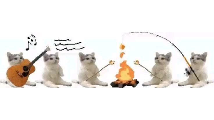 Birthday banner or fun image